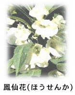 gazou5.gif