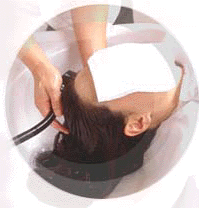 gazou6.gif