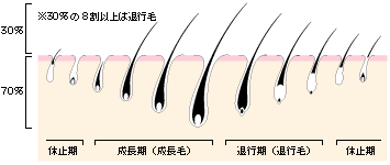 img10071468209.gif